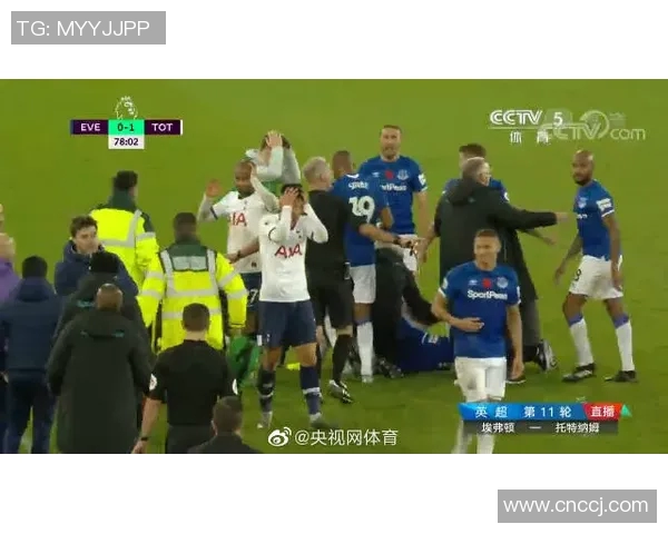 埃弗顿对阵热刺精彩回放全程回顾与比赛分析