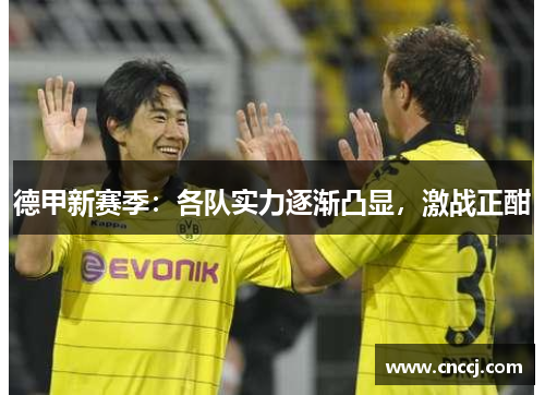 德甲新赛季：各队实力逐渐凸显，激战正酣