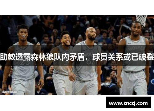 助教透露森林狼队内矛盾，球员关系或已破裂