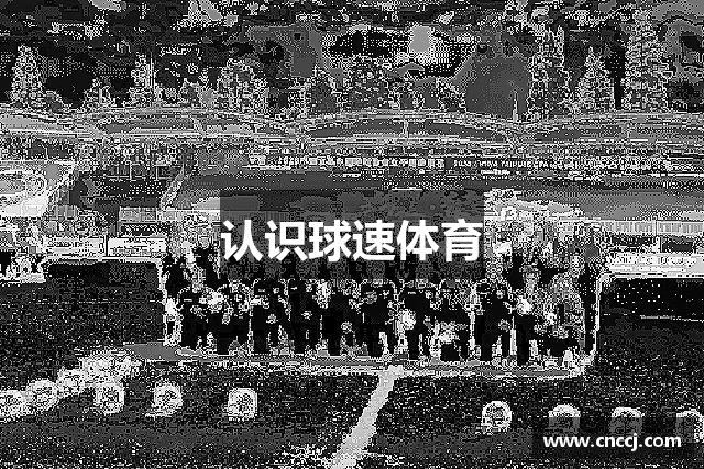 认识球速体育
